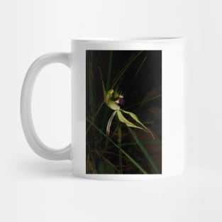 Early Spider Orchid Mug